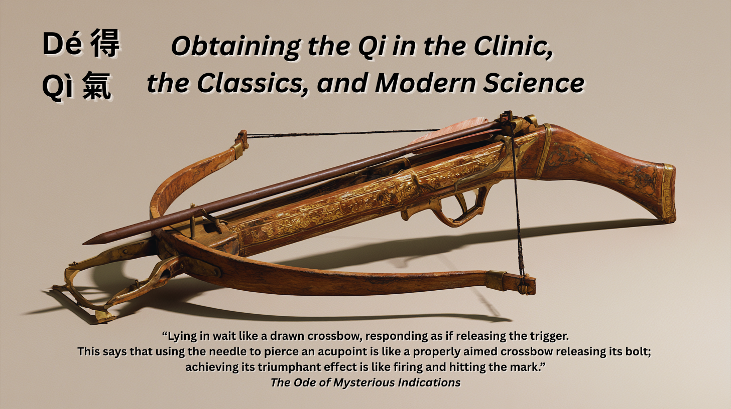 Dé 得 Qì 氣 — Obtaining the Qi in the Clinic, the Classics, and Modern Science