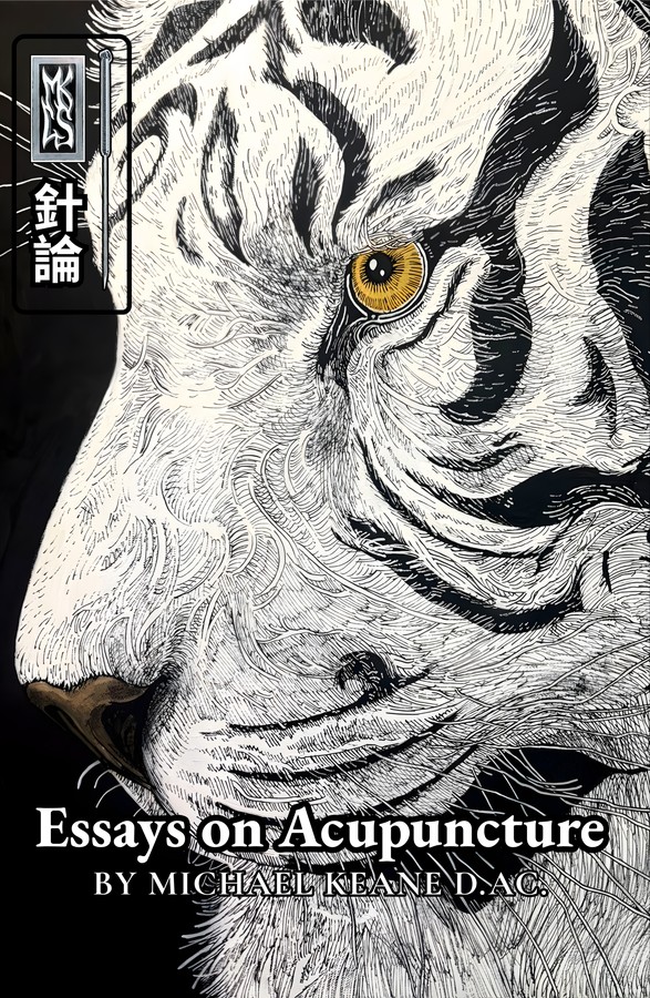 Essays on Acupuncture book cover